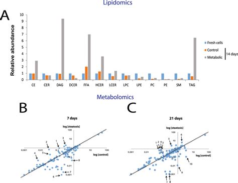 Lipidomic And Metabolomic Profiles Of Hepatic Spheroids After Induction