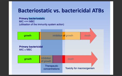 Antimicrobial Therapy Flashcards Quizlet