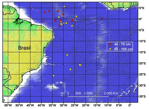 Pesquisa identifica o Atlântico equatorial como área de uso para as