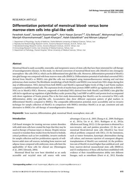 PDF Differentiation Potential Of Menstrual Blood Versus Bone Marrow