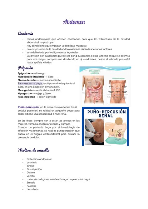 SOLUTION 2 Semiolog A De Abdomen Studypool