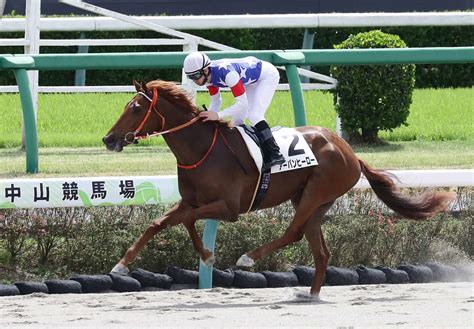 【船橋】今日ガッツポーズの日はアーバンヒーロー／10r 南でも関でも 競馬コラム写真ニュース 日刊スポーツ