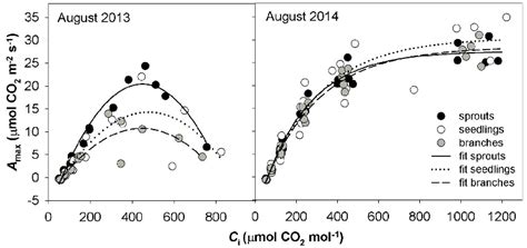 The Relationship Between Light Saturated Co2 Assimilation Rate Amax