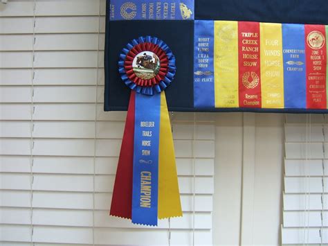 Ribbon Quilt Wall Hanging Wall Art Award by MikeandMollyscrafts