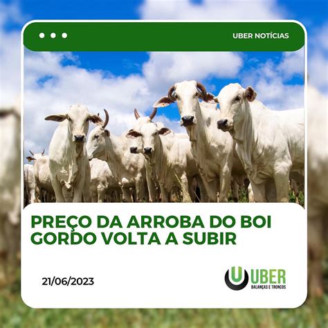 Peso Da Arroba Do Boi - PREÇO DA ARROBA DO BOI