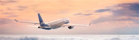 pa egen hand flyg swansons