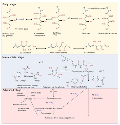 Foods Free Full Text Glycation Of Plant Proteins Via Maillard Reaction Reaction Chemistry