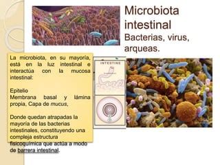 Conferencia Microbiota Intestinal un mundo por descubrir Nutrición y