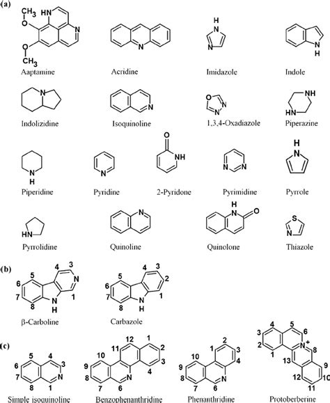 Skeleton Structures Of A The Major Heterocyclic Alkaloid Classes