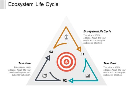 Ecosystem Life Cycle Ppt PowerPoint Presentation Professional Example ...