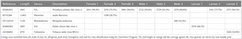 Frontiers Metagenomic Analysis Reveals The Virome Profiles Of Aedes