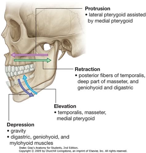 Health Tip Temporomandibular Joint Dysfunction Physiotherapy Clinic