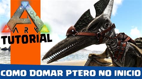 Ark Survival Evolved Como Domar Um Ptero No Inicio Tutorial Youtube