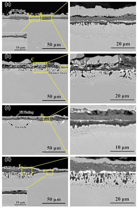 Shows The Cross Sectional Morphologies Of The Ni Pt Al Coatings After