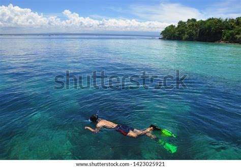 Snorkeling Lombok Island Indonesia Stock Photo 1423025921 | Shutterstock