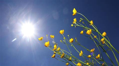 Frühling in Deutschland Erst Regen Wochenende und Polarluft Schnee