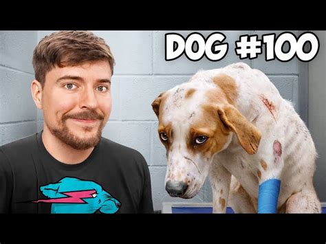 Mr Beast Rescues 100 Dogs general vo…: English ESL video lessons