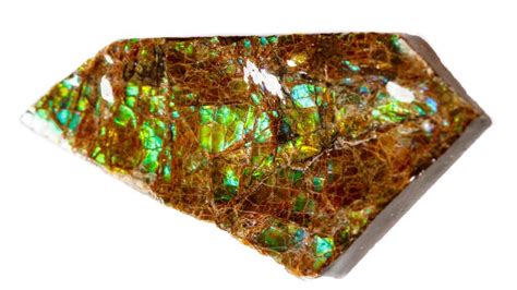 Ammolite – The Ultimate Guide – (Meaning, Description, Uses & Properties)