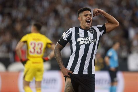 Botafogo larga atrás mas vira e confirma vitória contra o Inter em