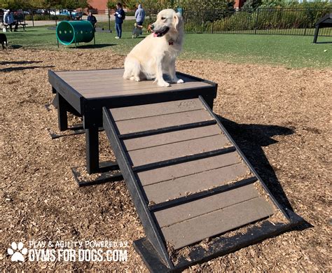 Dog Park Equipment |Bridge Climb (L/X) 29" H Sport Incline