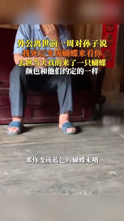 感人一幕 花开彼岸，蝶舞天堂😭！有些事情无法解释外公 去世后一只蝴蝶停在孙子身上 ，蝴蝶的颜色刚好是他们曾经讨论的 Shortsvideo 蝴蝶 隔代亲 爷爷