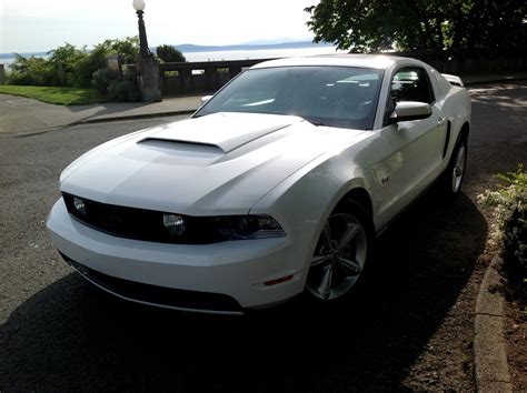 2010 Ford Mustang Gt Premium For Sale Cargurus