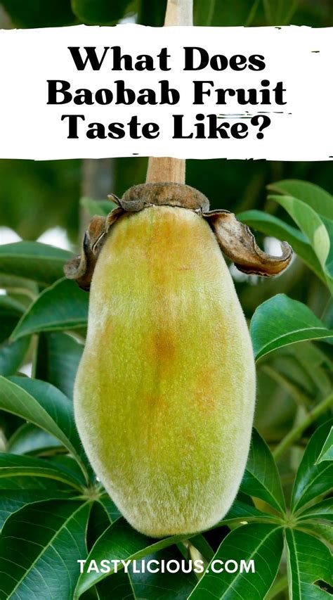 What Does Baobab Fruit Taste Like