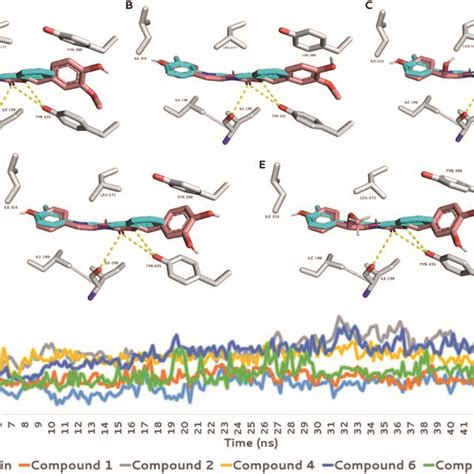 AE Binding Modes Of The Structures Of Compounds 1 2 4 6 And 7