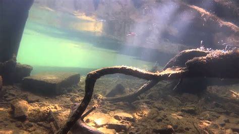 Snorkeling On Lewis Smith Lake Youtube