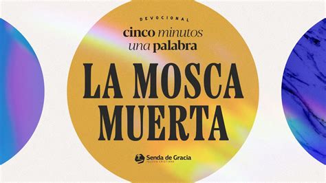 La Mosca Muerta Cinco Minutos Una Palabra Youtube