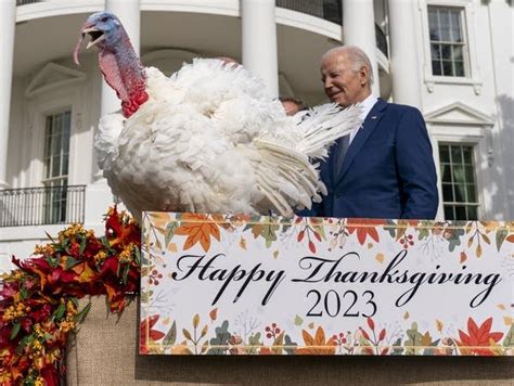 Biden pardons National Thanksgiving Turkeys from Minnesota while marking his 81st birthday | MPR ...