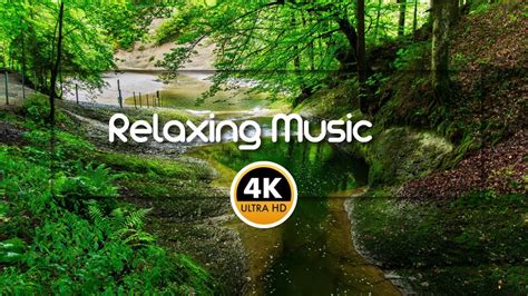 Minute Beautiful Relaxing Music For Relaxation And Sleep The Sound