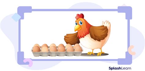 What Is a Dozen? Definition, Unit, Examples, Facts (2025)