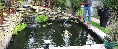 Koi Pond Maintenance 10 Important Steps Guide