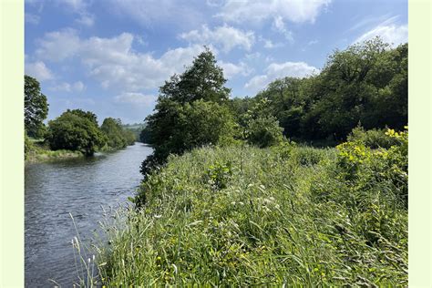 River Teifi Woodlands Abercych Pembrokeshire Wales And The Welsh