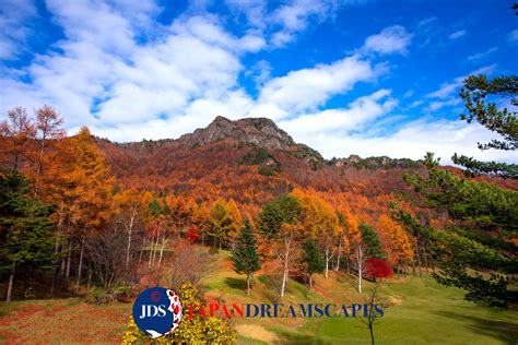 Japan Autumn Leaves Photography Workshop - JAPAN DREAMSCAPES