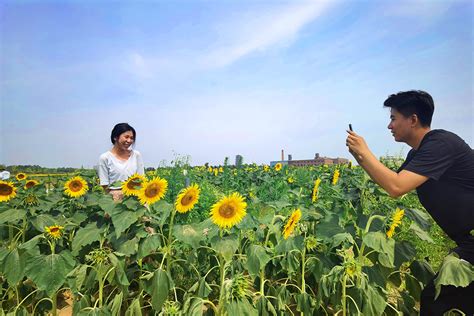 河北日报丨城市后花园成发展新引擎——开平区打造唐山花海放大“后园博”效应探访 正和生态 生态环境科技运营商