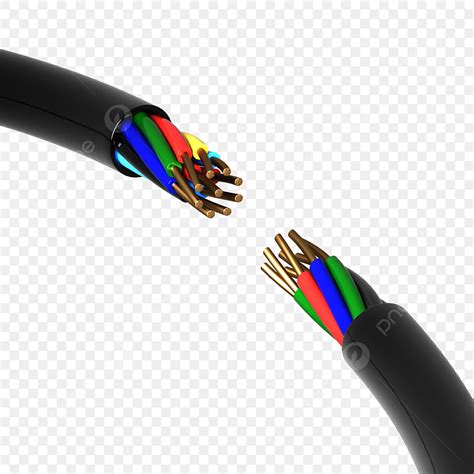 internal structure clipart vector simulation  internal structure