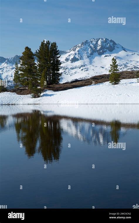 Snowmelt Pond Along Pacific Crest Trail Carson Pass National Scenic