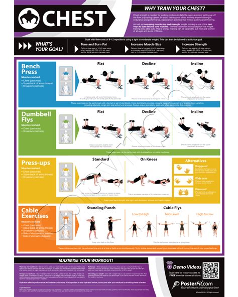 Chest Expander Workout Routine Pdf | EOUA Blog