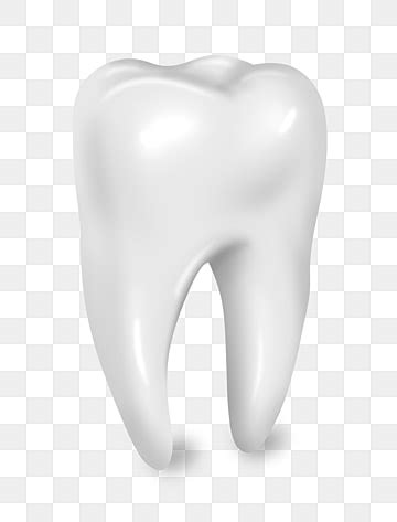 Tooth Png Vector Psd And Clipart With Transparent Background For