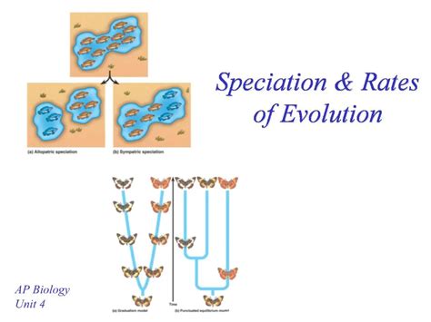 PPT - Speciation Rates of Evolution PowerPoint Presentation, free ...