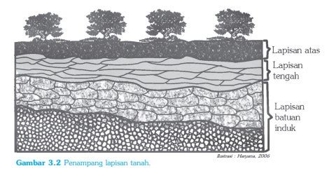 Lapisan Tanah Pengertian Struktur Ciri Ciri Dan Manfaatnya Dunia