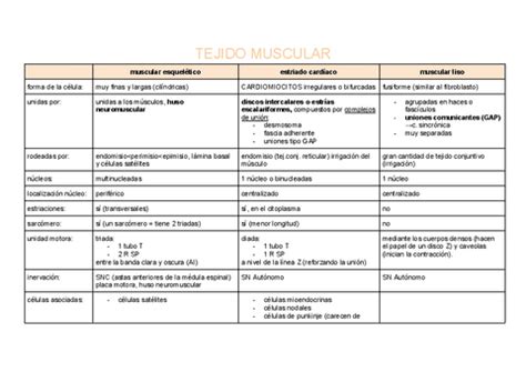 Tabla Resumen Tejido Muscular Pdf