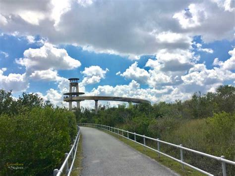 Everglades National Park: Biking the Shark Valley Trail - Coastlines to ...