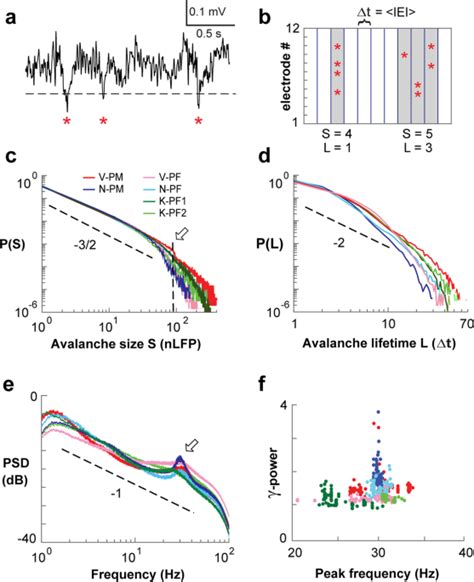 The Scale Invariant Temporal Profile Of Neuronal Avalanches In