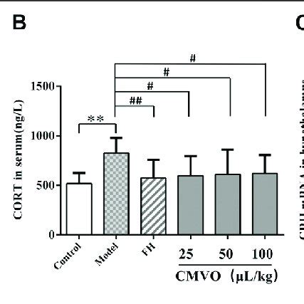 Effects Of CMVO Treatment On ACTH A And CORT B Levels N 8 And