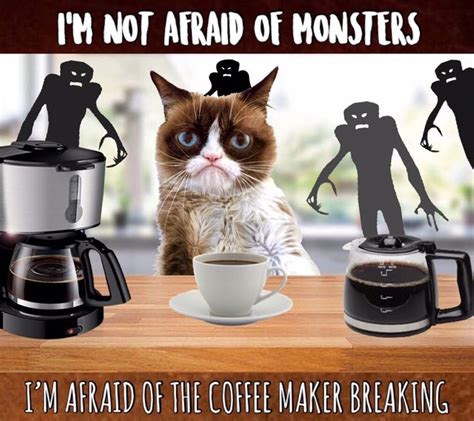 Grumpy Cat Coffee ☕️👹 Grumpy Cat Grumpy Cat Christmas Grumpy Cat Humor