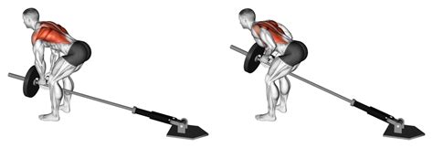 T Bar Rows Or One Arm Dumbbell Rows