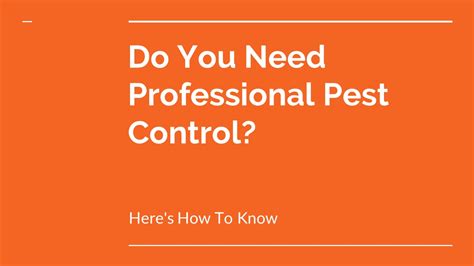 Ppt Pest Control Richmond Powerpoint Presentation Free To Download Id 95e0ad Mzhjn